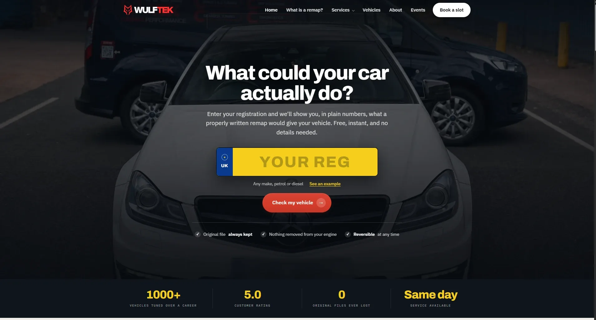 The WulfTek Tuning homepage — a delivered client site: registration lookup hero with the line ‘What could your car actually do?’
